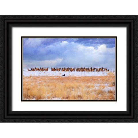 Zippy and the Elk Black Ornate Wood Framed Art Print with Double Matting by Vest, Chris