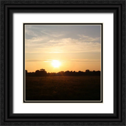 Sunset Field I Black Ornate Wood Framed Art Print with Double Matting by Bell, Lillian