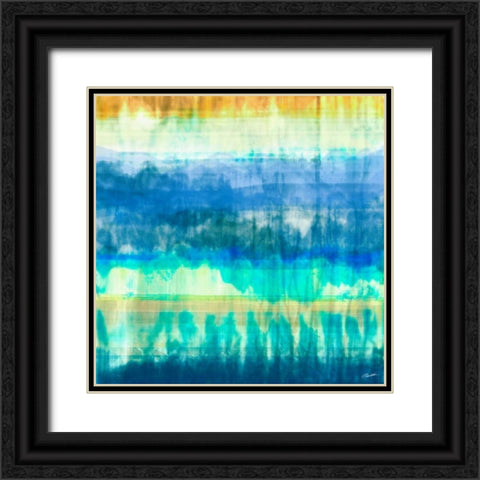 Marine III Black Ornate Wood Framed Art Print with Double Matting by Butler, John