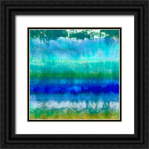 Marine IV Black Ornate Wood Framed Art Print with Double Matting by Butler, John