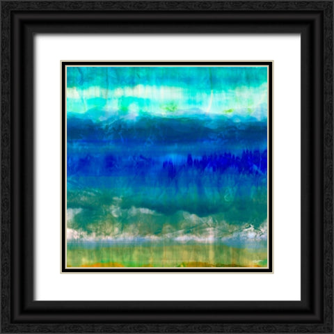 Marine VI Black Ornate Wood Framed Art Print with Double Matting by Butler, John