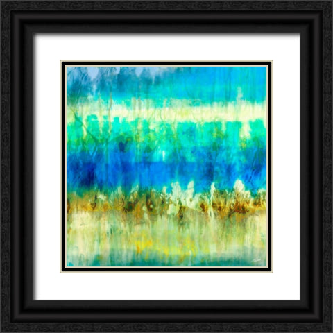 Marine IX Black Ornate Wood Framed Art Print with Double Matting by Butler, John