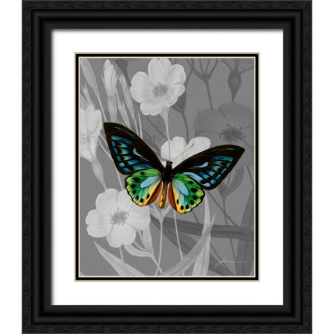 On Display I Black Ornate Wood Framed Art Print with Double Matting by Burghardt, James