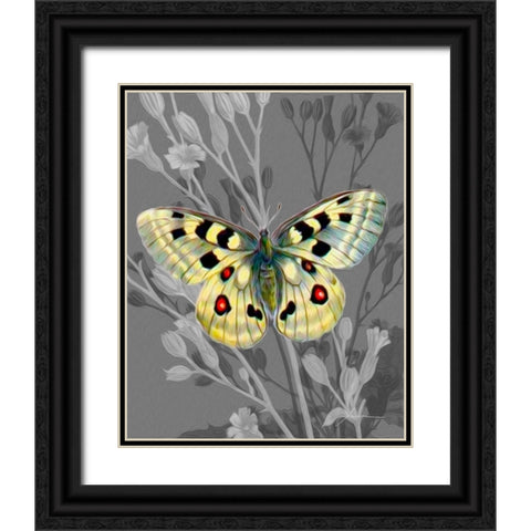 On Display II Black Ornate Wood Framed Art Print with Double Matting by Burghardt, James