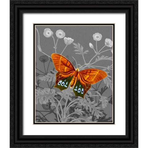 On Display III Black Ornate Wood Framed Art Print with Double Matting by Burghardt, James