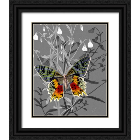 On Display IV Black Ornate Wood Framed Art Print with Double Matting by Burghardt, James