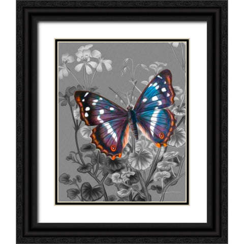 On Display VI Black Ornate Wood Framed Art Print with Double Matting by Burghardt, James