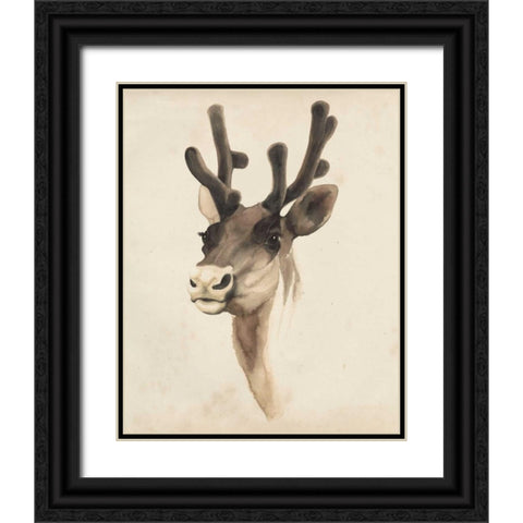 Watercolor Animal Study III Black Ornate Wood Framed Art Print with Double Matting by Popp, Grace