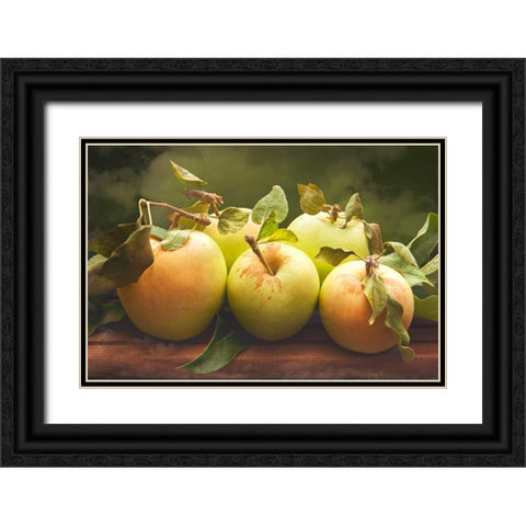 Jills Green Apples II Black Ornate Wood Framed Art Print with Double Matting by Perry, Rachel