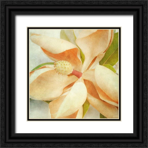 Vintage Magnolia I Black Ornate Wood Framed Art Print with Double Matting by Malek, Honey