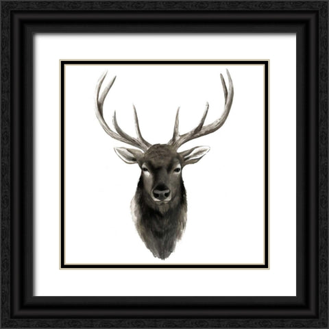 Western Animal Study V Black Ornate Wood Framed Art Print with Double Matting by Popp, Grace