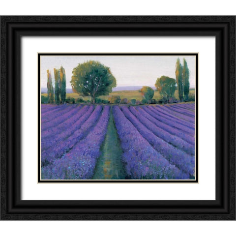 Lavender Field II Black Ornate Wood Framed Art Print with Double Matting by OToole, Tim