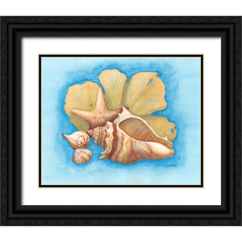 Seashells and Seafan II Black Ornate Wood Framed Art Print with Double Matting by Russell, Wendy