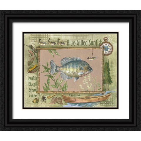 Blue-Gilled Sunfish Black Ornate Wood Framed Art Print with Double Matting by Phillips, Anita