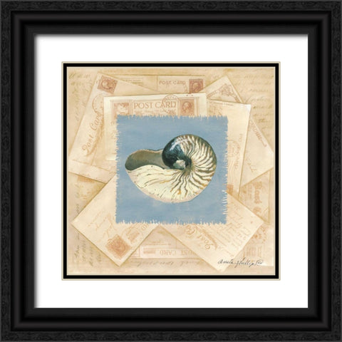 Shell Postcard Black Ornate Wood Framed Art Print with Double Matting by Phillips, Anita