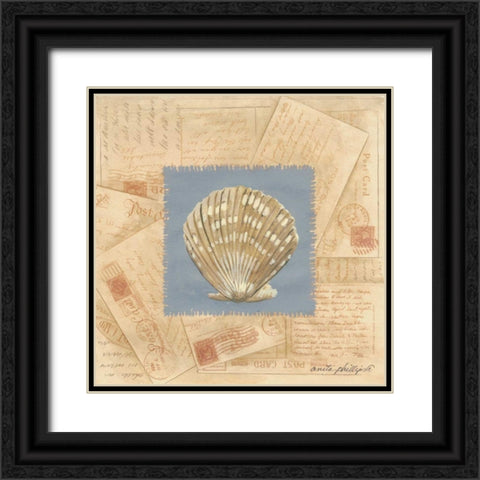 Fan Shell Postcard Black Ornate Wood Framed Art Print with Double Matting by Phillips, Anita