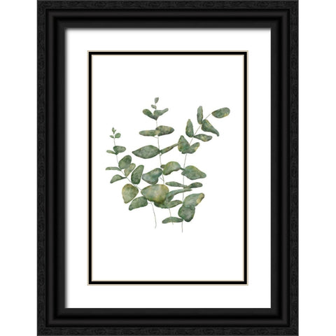 Eucalyptus Leaves II Black Ornate Wood Framed Art Print with Double Matting by JJ Design
