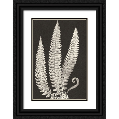 Vintage Ferns Black Ornate Wood Framed Art Print with Double Matting by JJ Design