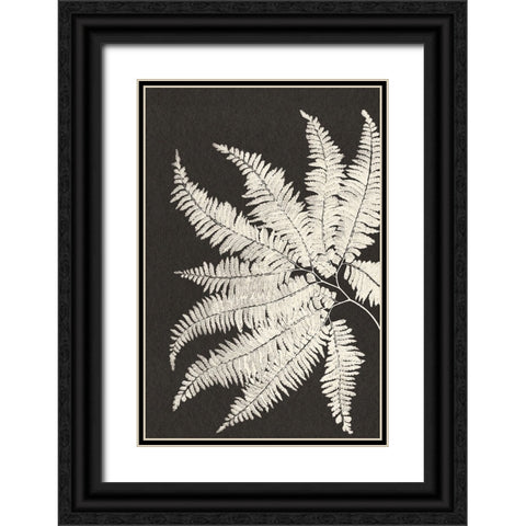 Vintage Ferns V Black Ornate Wood Framed Art Print with Double Matting by JJ Design
