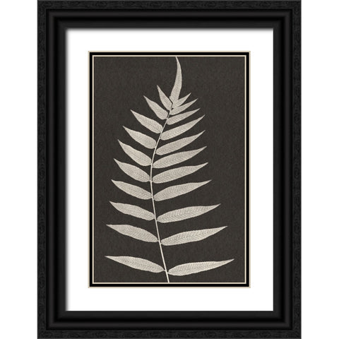 Vintage Ferns VIII Black Ornate Wood Framed Art Print with Double Matting by JJ Design