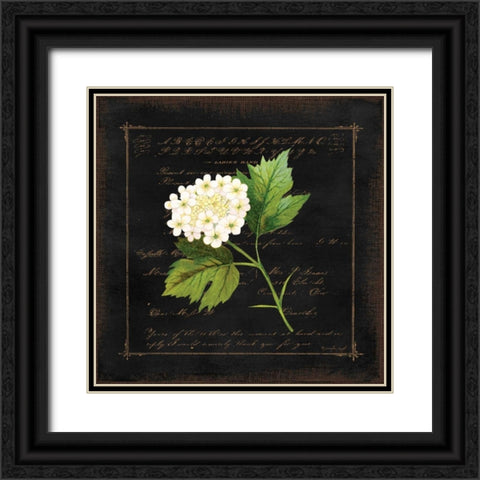 Floral II Black Ornate Wood Framed Art Print with Double Matting by Pugh, Jennifer