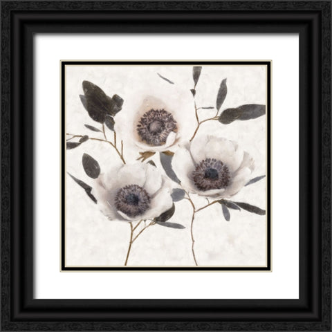 Fable Anemone II Black Ornate Wood Framed Art Print with Double Matting by Blue, Nina