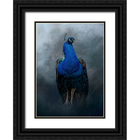 Peacock Prince Black Ornate Wood Framed Art Print with Double Matting by Parker, Kelley