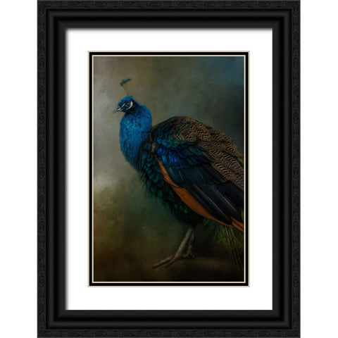 Proud Peacock  Black Ornate Wood Framed Art Print with Double Matting by Parker, Kelley