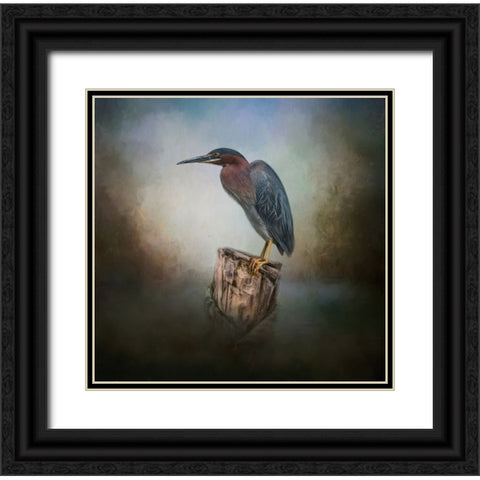The Perfect Perch Black Ornate Wood Framed Art Print with Double Matting by Parker, Kelley
