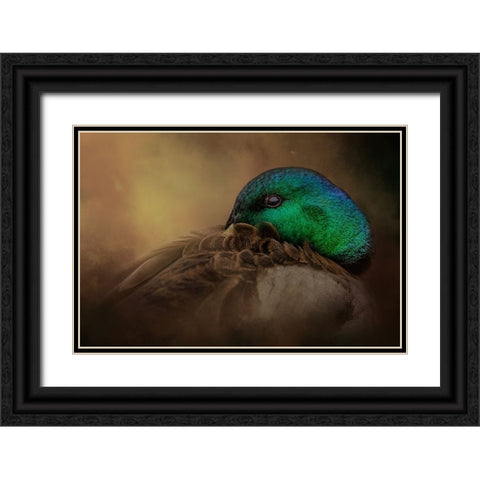 Keeping One Eye Open Black Ornate Wood Framed Art Print with Double Matting by Parker, Kelley