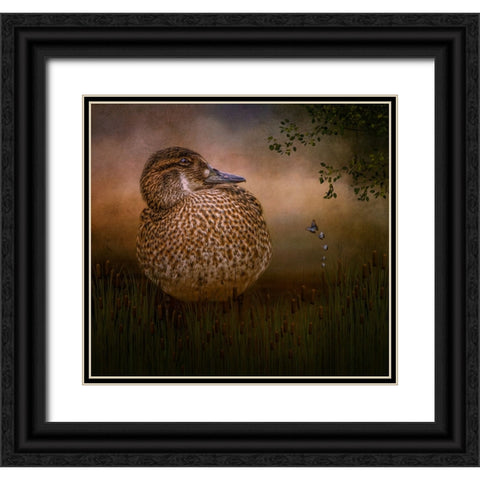 Among the Cattails Black Ornate Wood Framed Art Print with Double Matting by Parker, Kelley