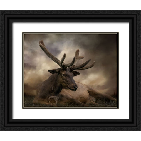 Headstrong Black Ornate Wood Framed Art Print with Double Matting by Parker, Kelley