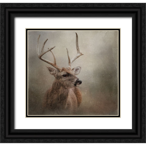Winter Messenger Black Ornate Wood Framed Art Print with Double Matting by Parker, Kelley