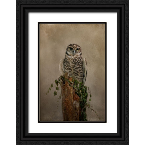 Small But Mighty Black Ornate Wood Framed Art Print with Double Matting by Parker, Kelley