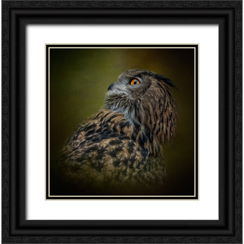 Whats Above Black Ornate Wood Framed Art Print with Double Matting by Parker, Kelley