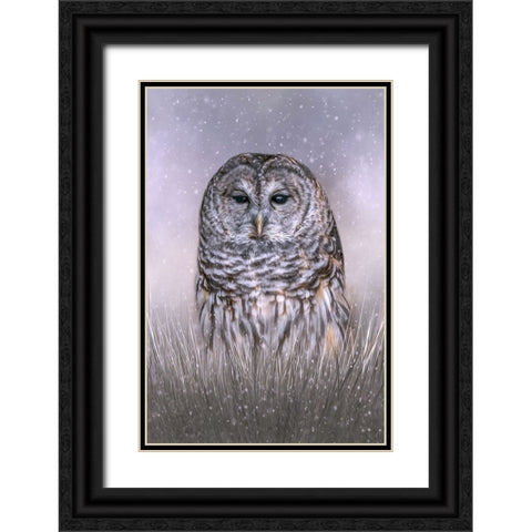 Winters Twilight Black Ornate Wood Framed Art Print with Double Matting by Parker, Kelley