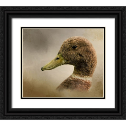 Ring Around the Collar Black Ornate Wood Framed Art Print with Double Matting by Parker, Kelley