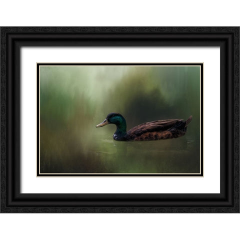 In His Element Black Ornate Wood Framed Art Print with Double Matting by Parker, Kelley