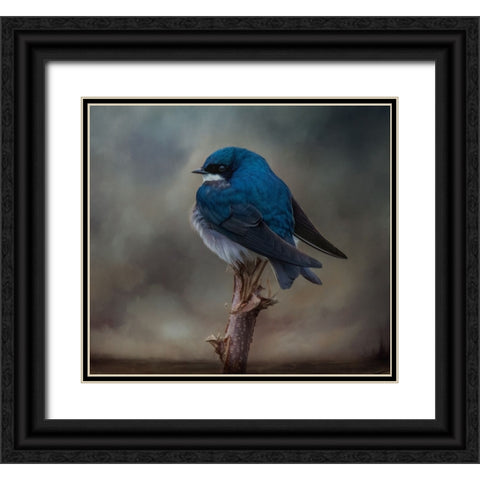 Big Blue Boy Black Ornate Wood Framed Art Print with Double Matting by Parker, Kelley
