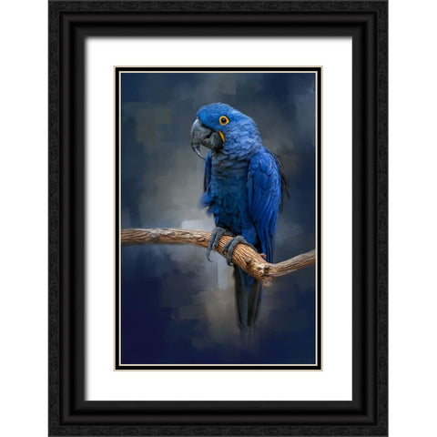 Blue Gem Black Ornate Wood Framed Art Print with Double Matting by Parker, Kelley