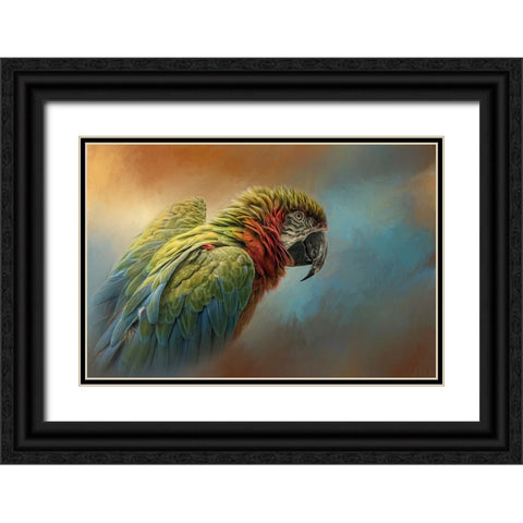 Coat of Many Colors Black Ornate Wood Framed Art Print with Double Matting by Parker, Kelley