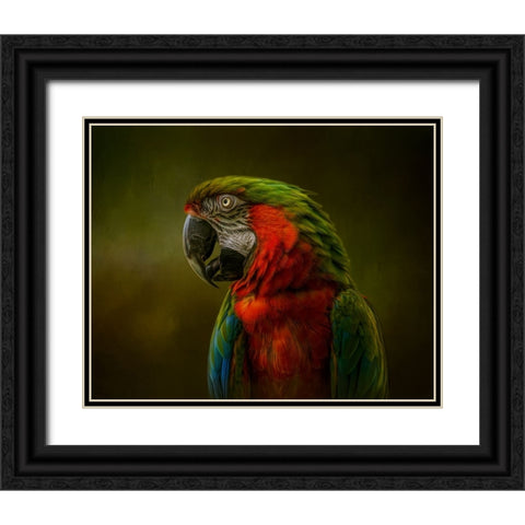 Harlequin Beauty Black Ornate Wood Framed Art Print with Double Matting by Parker, Kelley