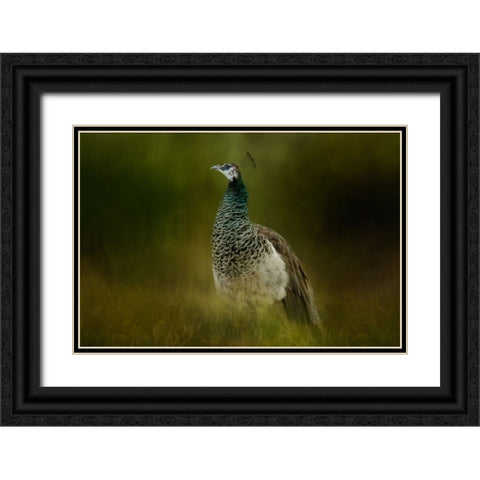 Green Gem Black Ornate Wood Framed Art Print with Double Matting by Parker, Kelley