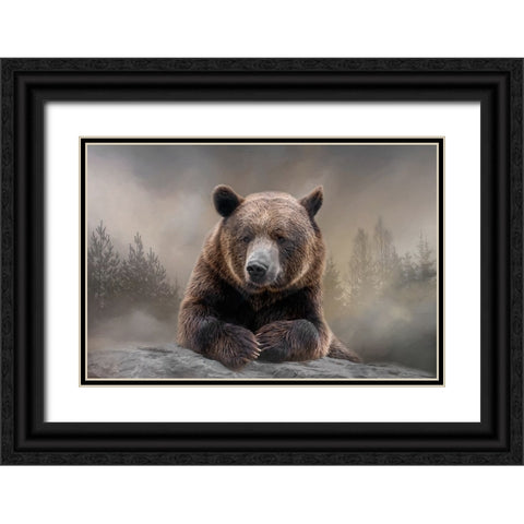 Grizzly Summit Black Ornate Wood Framed Art Print with Double Matting by Parker, Kelley