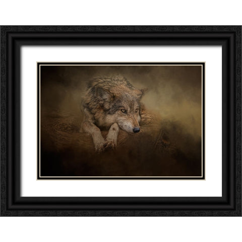 At Rest Black Ornate Wood Framed Art Print with Double Matting by Parker, Kelley