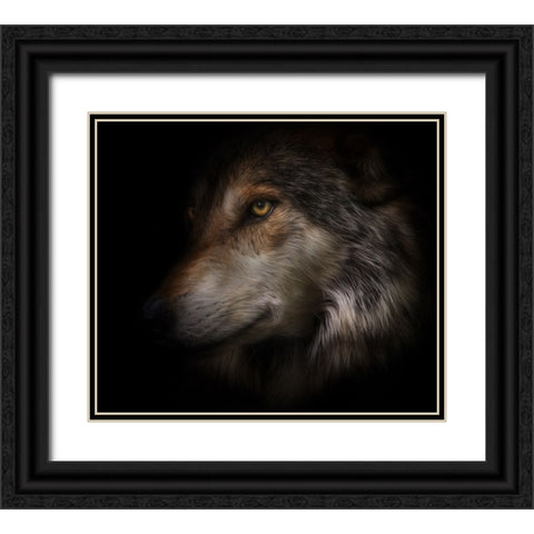 Where Light and Dark Meet Black Ornate Wood Framed Art Print with Double Matting by Parker, Kelley