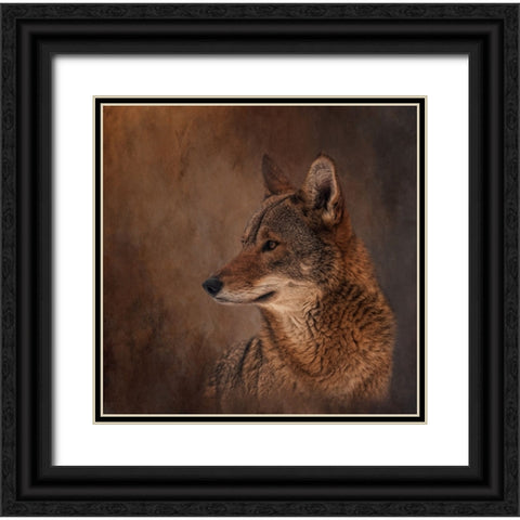 Line of Sight Black Ornate Wood Framed Art Print with Double Matting by Parker, Kelley