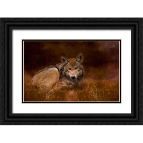 Safe Haven Black Ornate Wood Framed Art Print with Double Matting by Parker, Kelley