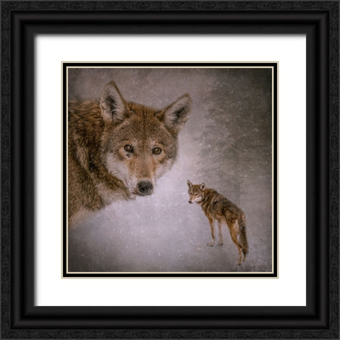 I Am Wolf Black Ornate Wood Framed Art Print with Double Matting by Parker, Kelley