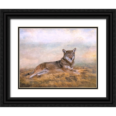 Distant Gaze Black Ornate Wood Framed Art Print with Double Matting by Parker, Kelley